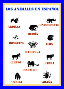 Animals Names